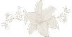 Flo